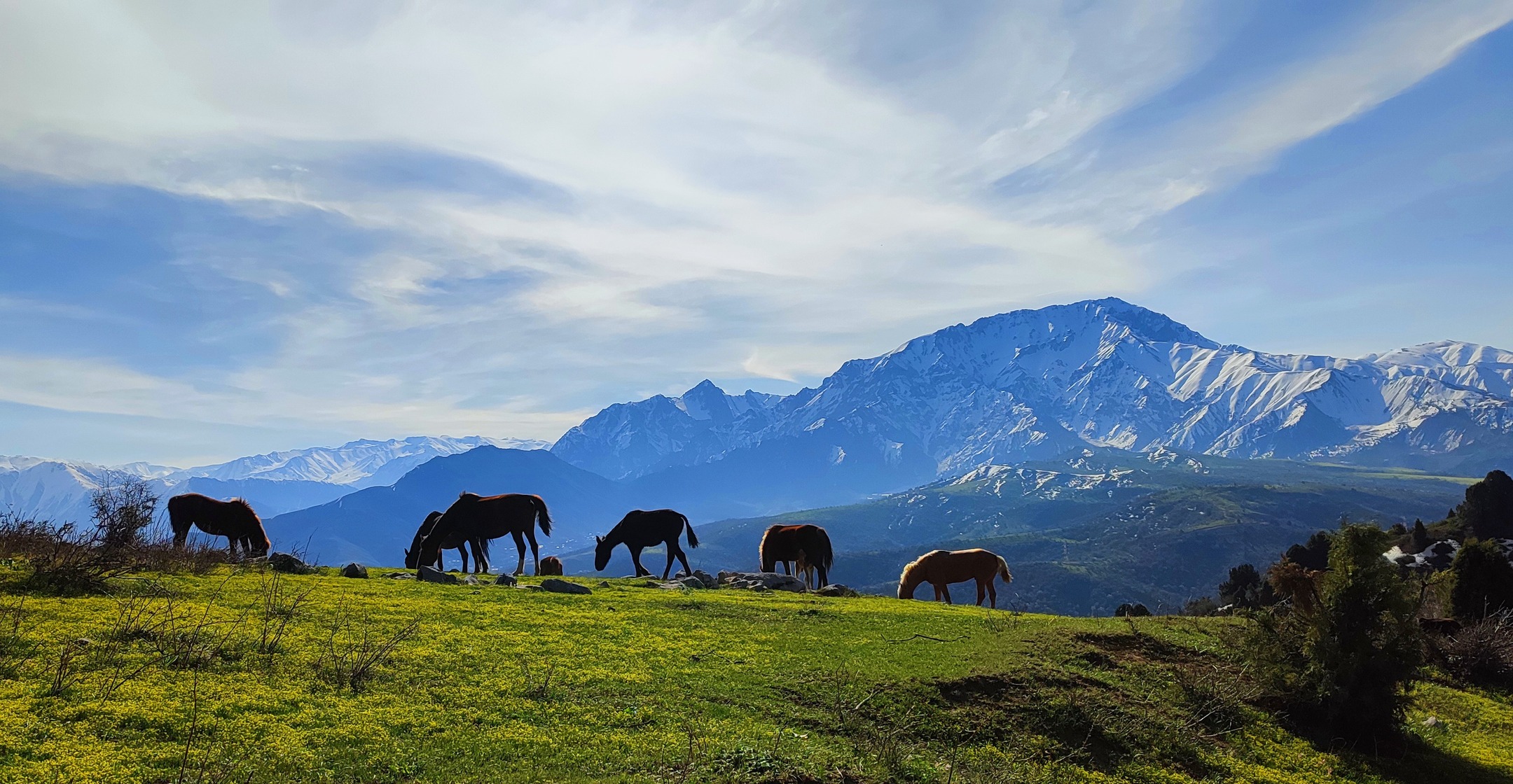 Tien-Shan travel video