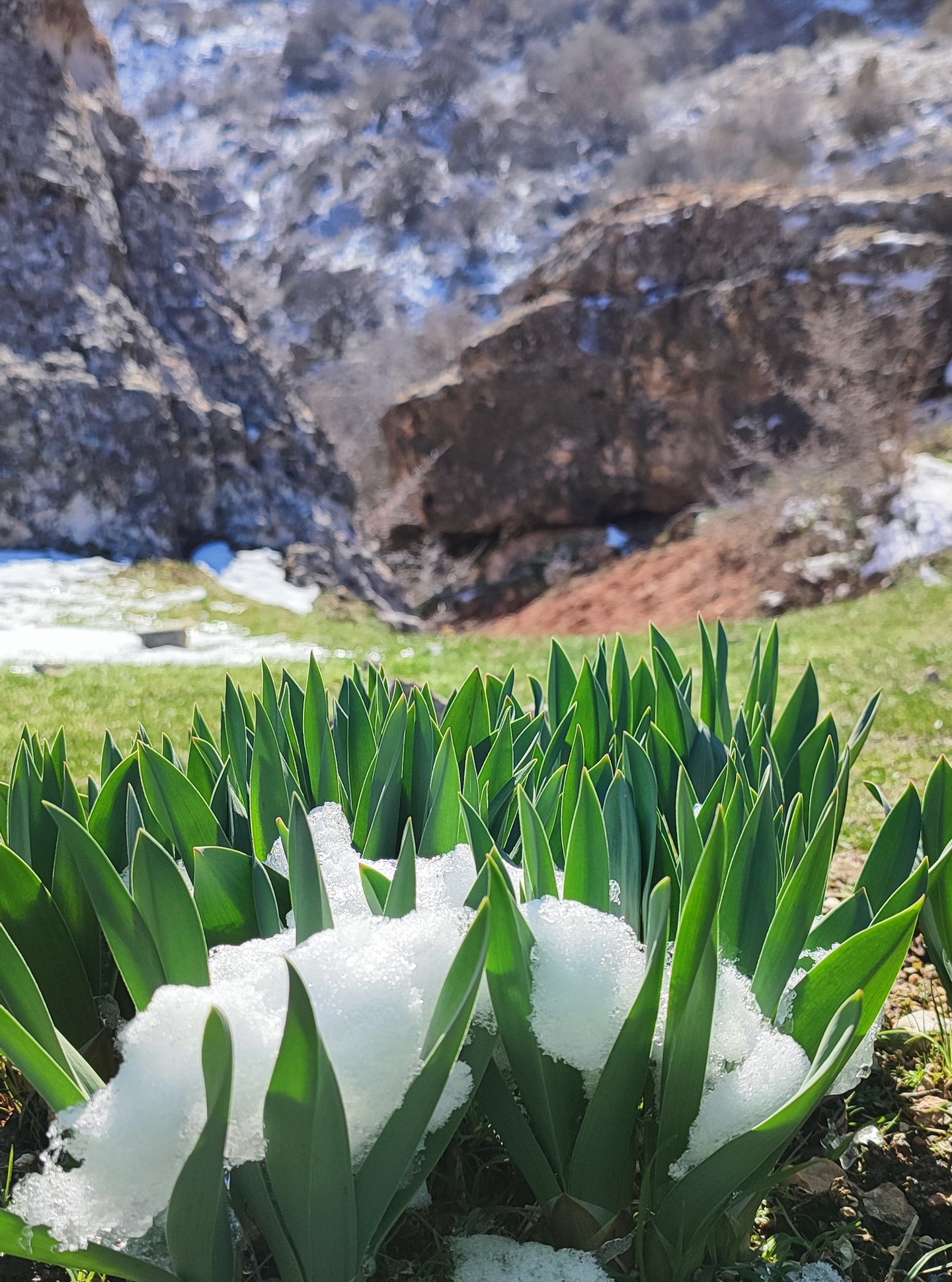 Ugam-Chatkal National Park wilderness trek